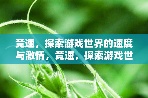 竞速,探索游戏世界的速度与激情,竞速,探索游戏世界的速度与激情 竞速,探索游戏世界的速度与激情,竞速,探索游戏世界的速度与激情