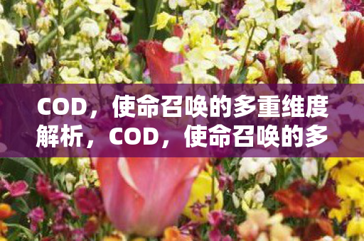 COD，使命召唤的多重维度解析，COD，使命召唤的多重维度解析