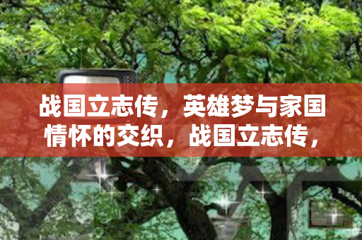 战国立志传，英雄梦与家国情怀的交织，战国立志传，英雄梦与家国情怀的交织