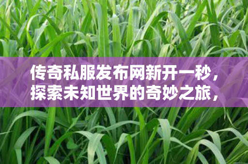 传奇私服发布网新开一秒,探索未知世界的奇妙之旅,传奇私服发布网新开一秒,开启探索未知世界的奇妙之旅 传奇私服发布网新开一秒,探索未知世界的奇妙之旅,传奇私服发布网新开一秒,开启探索未知世界的奇妙之旅