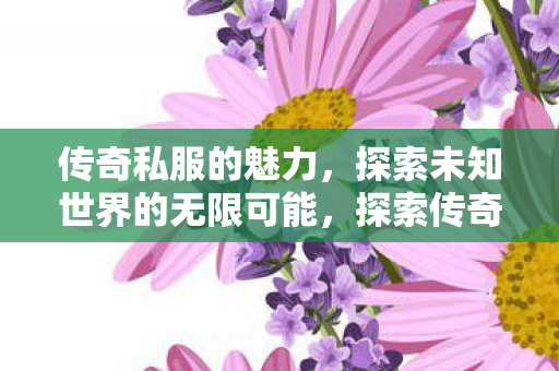 传奇私服的魅力,探索未知世界的无限可能,探索传奇私服,解锁未知世界的无限魅力 传奇私服的魅力,探索未知世界的无限可能,探索传奇私服,解锁未知世界的无限魅力