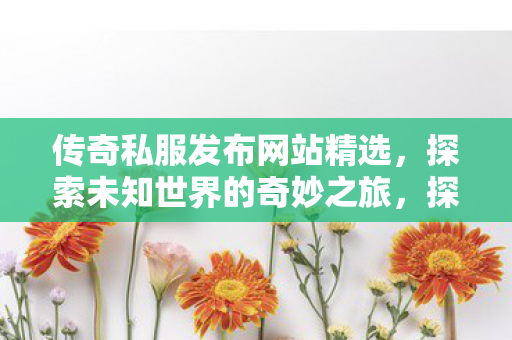 传奇私服发布网站精选,探索未知世界的奇妙之旅,探索未知世界的奇妙之旅,精选传奇私服发布网站 传奇私服发布网站精选,探索未知世界的奇妙之旅,探索未知世界的奇妙之旅,精选传奇私服发布网站