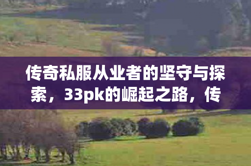 传奇私服从业者的坚守与探索图片