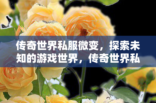 传奇世界私服微变,探索未知的游戏世界,传奇世界私服微变,探索未知游戏世界的奇妙之旅 传奇世界私服微变,探索未知的游戏世界,传奇世界私服微变,探索未知游戏世界的奇妙之旅