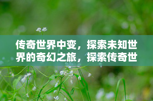 传奇世界中变,探索未知世界的奇幻之旅,探索传奇世界,奇幻之旅的无限可能 传奇世界中变,探索未知世界的奇幻之旅,探索传奇世界,奇幻之旅的无限可能