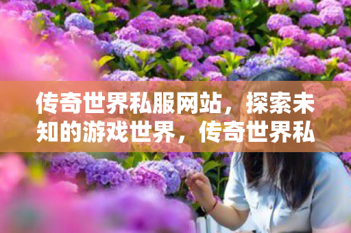 探索未知的游戏世界图片