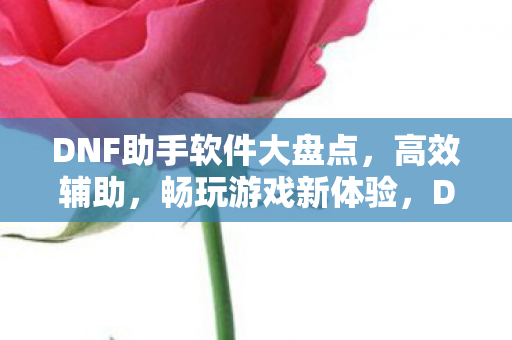 DNF助手软件大盘点,高效辅助,畅玩游戏新体验,DNF助手软件大盘点,高效辅助,畅玩游戏新体验 DNF助手软件大盘点,高效辅助,畅玩游戏新体验,DNF助手软件大盘点,高效辅助,畅玩游戏新体验