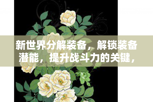 新世界分解装备,解锁装备潜能,提升战斗力的关键,解锁装备潜能,提升战斗力的关键步骤 新世界分解装备,解锁装备潜能,提升战斗力的关键,解锁装备潜能,提升战斗力的关键步骤