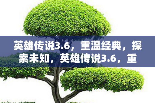 英雄传说3.6,重温经典,探索未知,英雄传说3.6,重温经典,探索未知之旅 英雄传说3.6,重温经典,探索未知,英雄传说3.6,重温经典,探索未知之旅