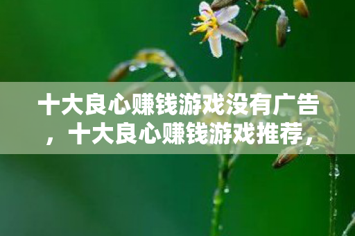 十大良心赚钱游戏没有广告,十大良心赚钱游戏推荐,无广告干扰,轻松赚取额外收入! 十大良心赚钱游戏没有广告,十大良心赚钱游戏推荐,无广告干扰,轻松赚取额外收入!