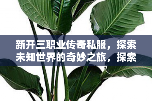 新开三职业传奇私服,探索未知世界的奇妙之旅,探索未知世界的奇妙之旅,新开三职业传奇私服 新开三职业传奇私服,探索未知世界的奇妙之旅,探索未知世界的奇妙之旅,新开三职业传奇私服