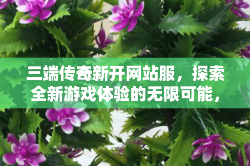 三端传奇新开网站服,探索全新游戏体验的无限可能,三端传奇新开网站服,探索全新游戏体验的无限可能 三端传奇新开网站服,探索全新游戏体验的无限可能,三端传奇新开网站服,探索全新游戏体验的无限可能