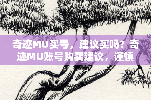 奇迹MU买号,建议买吗?奇迹MU账号购买建议,谨慎评估风险与收益 奇迹MU买号,建议买吗?奇迹MU账号购买建议,谨慎评估风险与收益