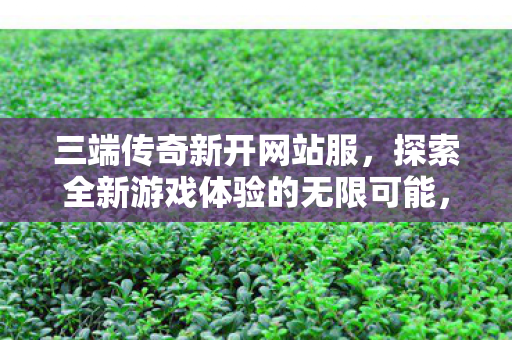探索全新游戏体验的无限可能图片
