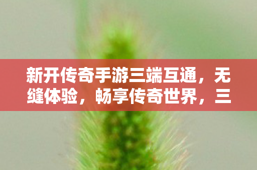 新开传奇手游三端互通,无缝体验,畅享传奇世界,三端互通传奇手游,畅享传奇世界新体验 新开传奇手游三端互通,无缝体验,畅享传奇世界,三端互通传奇手游,畅享传奇世界新体验