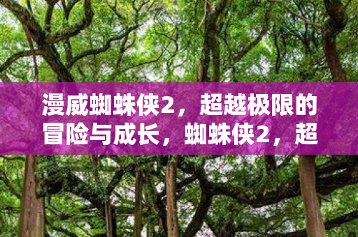 漫威蜘蛛侠2，超越极限的冒险与成长，蜘蛛侠2，超越极限的冒险与成长之旅