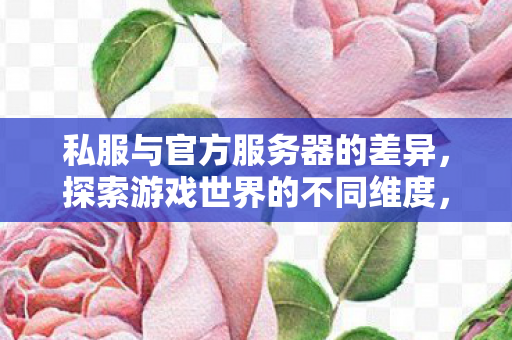 私服与官方服务器的差异图片