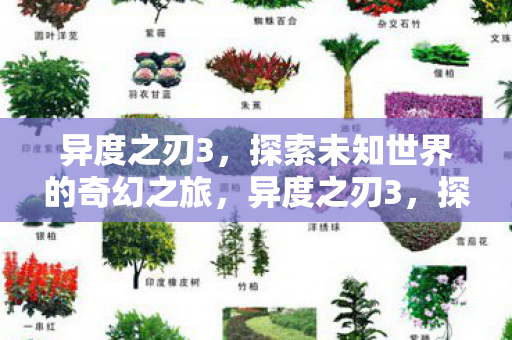 异度之刃3，探索未知世界的奇幻之旅，异度之刃3，探索未知世界的奇幻之旅
