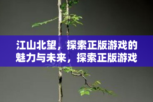 江山北望,探索正版游戏的魅力与未来,探索正版游戏的魅力与未来,江山北望 江山北望,探索正版游戏的魅力与未来,探索正版游戏的魅力与未来,江山北望