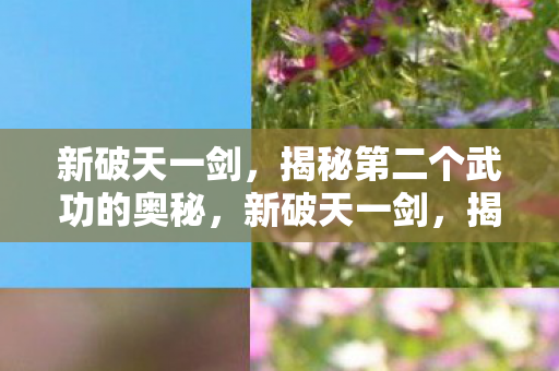 新破天一剑,揭秘第二个武功的奥秘,新破天一剑,揭秘第二个武功的奥秘 新破天一剑,揭秘第二个武功的奥秘,新破天一剑,揭秘第二个武功的奥秘