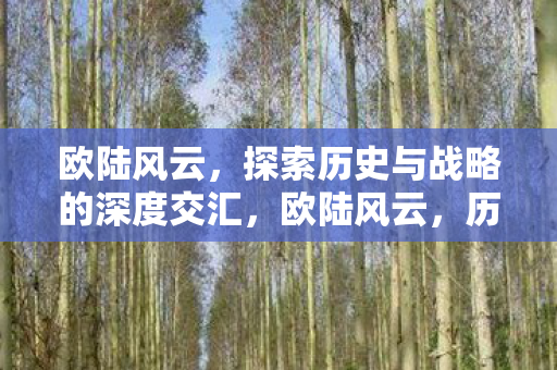 欧陆风云,探索历史与战略的深度交汇,欧陆风云,历史与战略的深度交汇 欧陆风云,探索历史与战略的深度交汇,欧陆风云,历史与战略的深度交汇