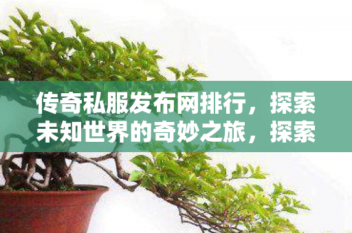 传奇私服发布网排行,探索未知世界的奇妙之旅,探索未知世界的奇妙之旅,揭秘传奇私服发布网排行 传奇私服发布网排行,探索未知世界的奇妙之旅,探索未知世界的奇妙之旅,揭秘传奇私服发布网排行