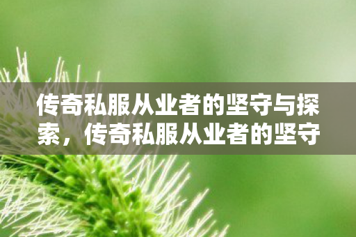 传奇私服从业者的坚守与探索之路图片