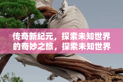 传奇新纪元,探索未知世界的奇妙之旅,探索未知世界的奇妙之旅,传奇新纪元开启 传奇新纪元,探索未知世界的奇妙之旅,探索未知世界的奇妙之旅,传奇新纪元开启