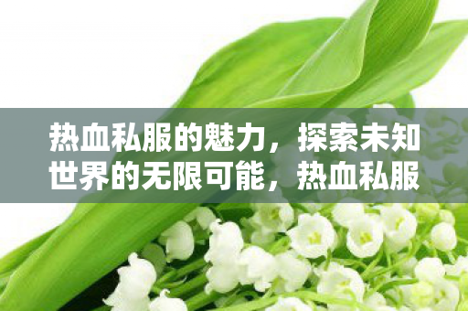 热血私服的魅力,探索未知世界的无限可能,热血私服的魅力,探索未知世界的无限可能 热血私服的魅力,探索未知世界的无限可能,热血私服的魅力,探索未知世界的无限可能
