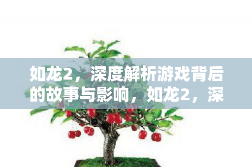 如龙2,深度解析游戏背后的故事与影响,如龙2,深度剖析游戏背后的故事与影响 如龙2,深度解析游戏背后的故事与影响,如龙2,深度剖析游戏背后的故事与影响