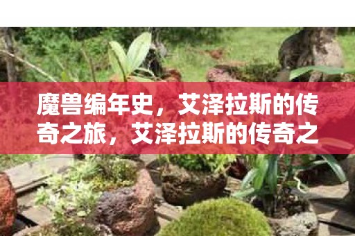 魔兽编年史,艾泽拉斯的传奇之旅,艾泽拉斯的传奇之旅,魔兽编年史 魔兽编年史,艾泽拉斯的传奇之旅,艾泽拉斯的传奇之旅,魔兽编年史