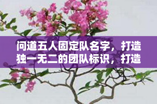 问道五人固定队名字,打造独一无二的团队标识,打造独一无二的五人固定队名字,问道中彰显团队风采 问道五人固定队名字,打造独一无二的团队标识,打造独一无二的五人固定队名字,问道中彰显团队风采