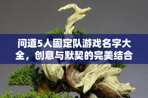 问道5人固定队游戏名字大全,创意与默契的完美结合,问道五人行,创意与默契并重的游戏队伍名称大全 问道5人固定队游戏名字大全,创意与默契的完美结合,问道五人行,创意与默契并重的游戏队伍名称大全