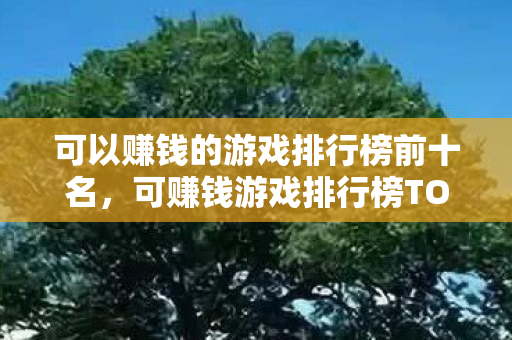 可以赚钱的游戏排行榜前十名,可赚钱游戏排行榜TOP10 可以赚钱的游戏排行榜前十名,可赚钱游戏排行榜TOP10