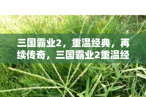 三国霸业2,重温经典,再续传奇,三国霸业2重温经典 再续传奇 三国霸业2,重温经典,再续传奇,三国霸业2重温经典 再续传奇