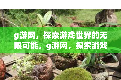g游网,探索游戏世界的无限可能,g游网,探索游戏世界的无限可能 g游网,探索游戏世界的无限可能,g游网,探索游戏世界的无限可能