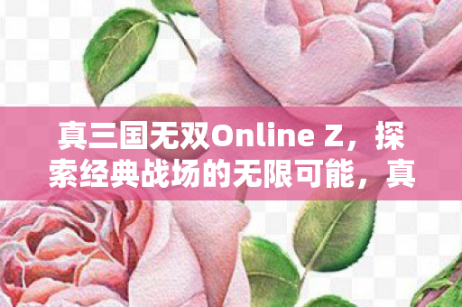 真三国无双Online Z,探索经典战场的无限可能,真三国无双Online Z,探索经典战场的无限可能 真三国无双Online Z,探索经典战场的无限可能,真三国无双Online Z,探索经典战场的无限可能