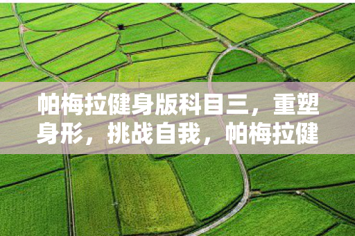 帕梅拉健身版科目三,重塑身形,挑战自我,帕梅拉健身版科目三,重塑身形,挑战自我 帕梅拉健身版科目三,重塑身形,挑战自我,帕梅拉健身版科目三,重塑身形,挑战自我