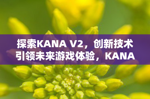 探索KANA V2,创新技术引领未来游戏体验,KANA V2,创新技术引领未来游戏体验 探索KANA V2,创新技术引领未来游戏体验,KANA V2,创新技术引领未来游戏体验