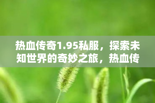热血传奇1.95私服,探索未知世界的奇妙之旅,热血传奇1.95私服,探索未知世界的奇妙冒险之旅 热血传奇1.95私服,探索未知世界的奇妙之旅,热血传奇1.95私服,探索未知世界的奇妙冒险之旅