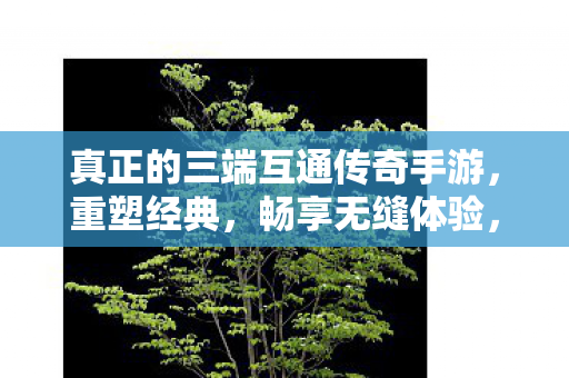 真正的三端互通传奇手游,重塑经典,畅享无缝体验,重塑经典,真正的三端互通传奇手游,畅享无缝体验 真正的三端互通传奇手游,重塑经典,畅享无缝体验,重塑经典,真正的三端互通传奇手游,畅享无缝体验