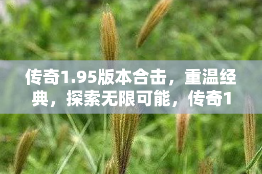 传奇1.95版本合击,重温经典,探索无限可能,传奇1.95版本合击,重温经典,探索无限可能 传奇1.95版本合击,重温经典,探索无限可能,传奇1.95版本合击,重温经典,探索无限可能