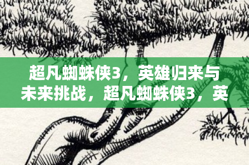 超凡蜘蛛侠3,英雄归来与未来挑战,超凡蜘蛛侠3,英雄归来与未来挑战 超凡蜘蛛侠3,英雄归来与未来挑战,超凡蜘蛛侠3,英雄归来与未来挑战