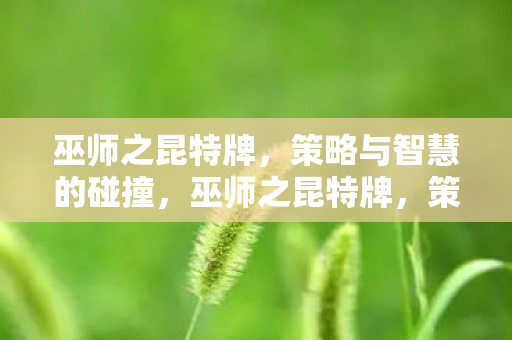 巫师之昆特牌,策略与智慧的碰撞,巫师之昆特牌,策略与智慧的较量 巫师之昆特牌,策略与智慧的碰撞,巫师之昆特牌,策略与智慧的较量