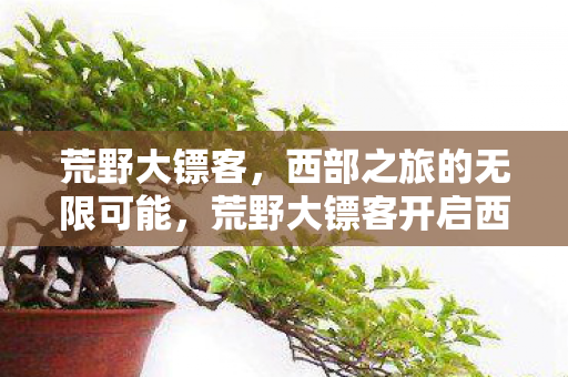 荒野大镖客,西部之旅的无限可能,荒野大镖客开启西部之旅的无限可能 荒野大镖客,西部之旅的无限可能,荒野大镖客开启西部之旅的无限可能