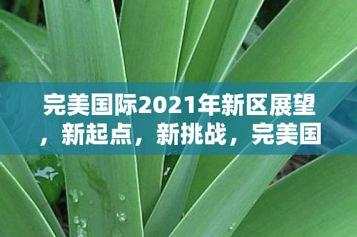 完美国际2021年新区展望,新起点,新挑战,完美国际2021新区展望,新起点迎接新挑战 完美国际2021年新区展望,新起点,新挑战,完美国际2021新区展望,新起点迎接新挑战