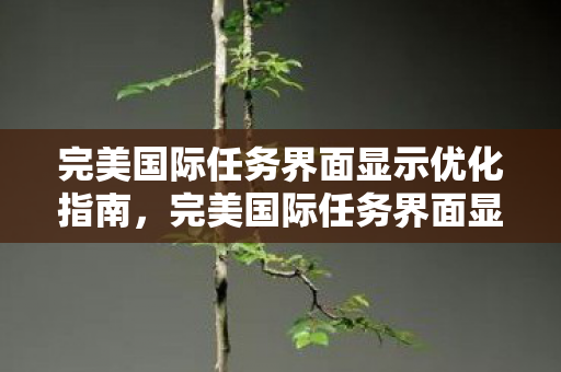 完美国际任务界面显示优化指南,完美国际任务界面显示优化全攻略 完美国际任务界面显示优化指南,完美国际任务界面显示优化全攻略