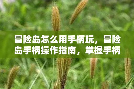 冒险岛怎么用手柄玩,冒险岛手柄操作指南,掌握手柄技巧,畅享游戏乐趣 冒险岛怎么用手柄玩,冒险岛手柄操作指南,掌握手柄技巧,畅享游戏乐趣