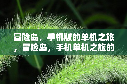 冒险岛,手机版的单机之旅,冒险岛,手机单机之旅的冒险体验 冒险岛,手机版的单机之旅,冒险岛,手机单机之旅的冒险体验