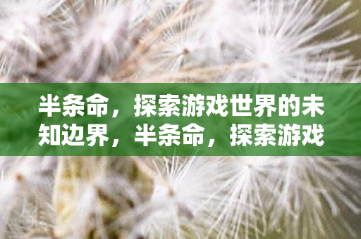 半条命,探索游戏世界的未知边界,半条命,探索游戏世界的未知边界 半条命,探索游戏世界的未知边界,半条命,探索游戏世界的未知边界